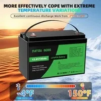 DATOUBOSS 12V 100Ah LiFePO4 Lithium Battery with 100A BMS Deep Cycle Battery for RV Solar Home System